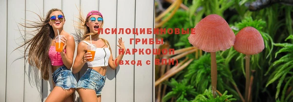 бутират Алексин