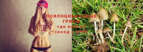 наркотики Абинск
