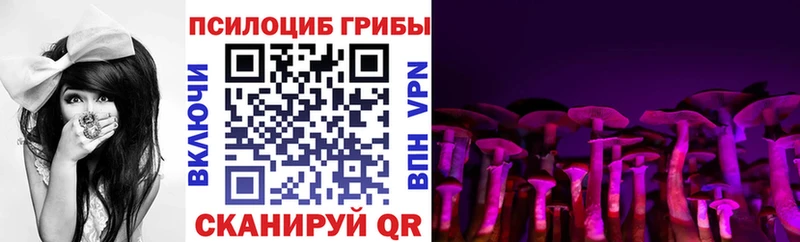 наркошоп  Карабаново  Галлюциногенные грибы Psilocybine cubensis 